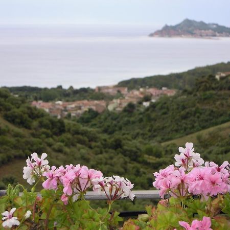 Appartamenti Con Vista Panoramica Santa Maria Navarrese Exterior foto