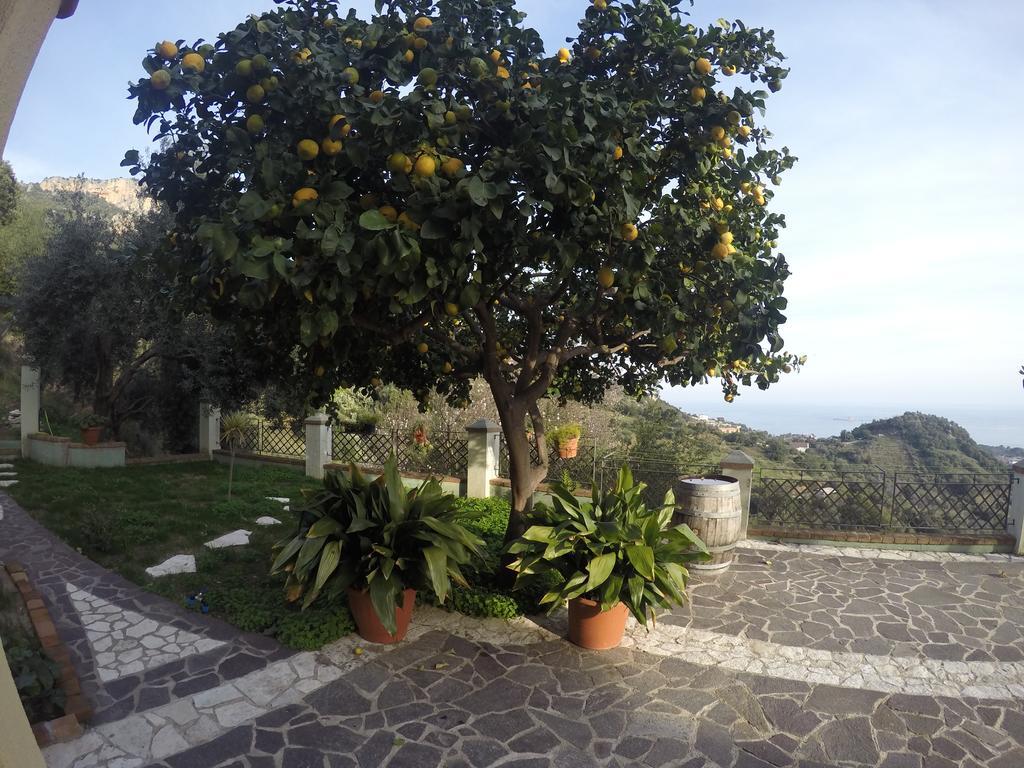 Appartamenti Con Vista Panoramica Santa Maria Navarrese Exterior foto